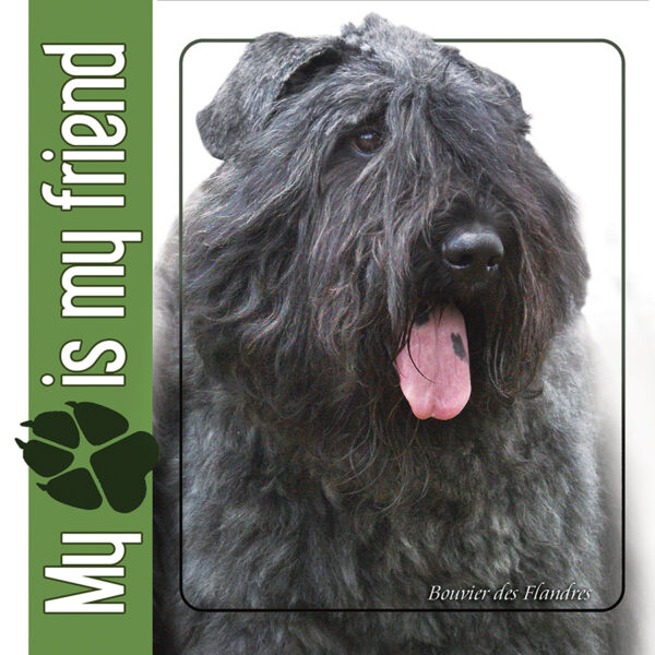 BOUVIER DES FLANDRES naklejka 14x14cm