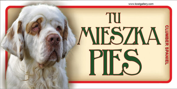 Clumber Spaniel tabliczka 18,5x9,5cm